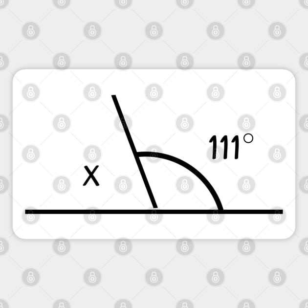 Solve for X - 69 Magnet by WildScience